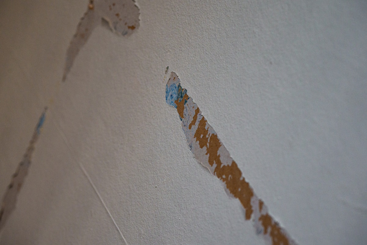 Water Extraction service in Georgetown, TX